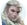 Sova icon